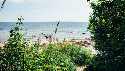 Wo die Ostsee wild und unberührt ist: Ein Frühlingsausflug zum Brodtener Steilufer￼