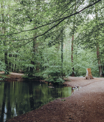 Interview with Livia Ritthaler About Walking Wild – The Guide Book for Dog Owners in Berlin