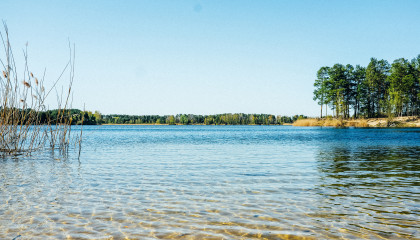 Ausflug zum Sacrower See – Waldspaziergang und Picknick am Ufer