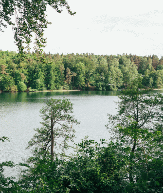 A Solitary Escape to Liepnitzsee’s Turquoise Waters in Brandenburg