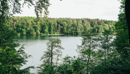 Frühsommerspaziergang entlang zweier Seen und dem Mies van der Rohe Haus im Obersee-Orankesee-Park