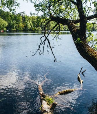 A Road Trip to Flakensee – White Sand & Pristine Waters