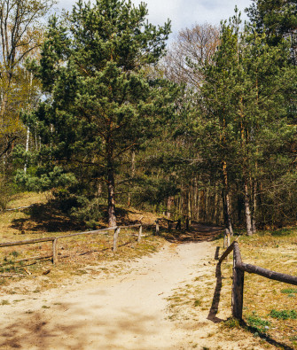 A Road Trip to Havel River – Forest Walks & Sandy Bays