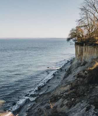 The Baltic Sea’s Wild Side: A Spring Outing at Brodtener Steilufer’s Pristine Shoreline