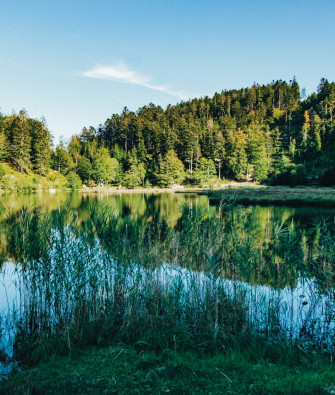 Our Four Favourite Lakes in the Black Forest